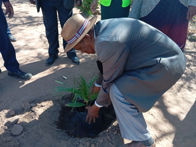 Planting a seedling at Morwa