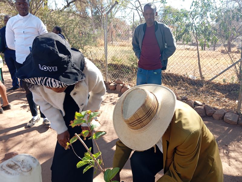 Community members around a sapling