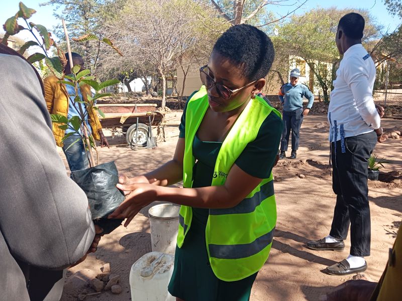 GYP volunteer tending a plant